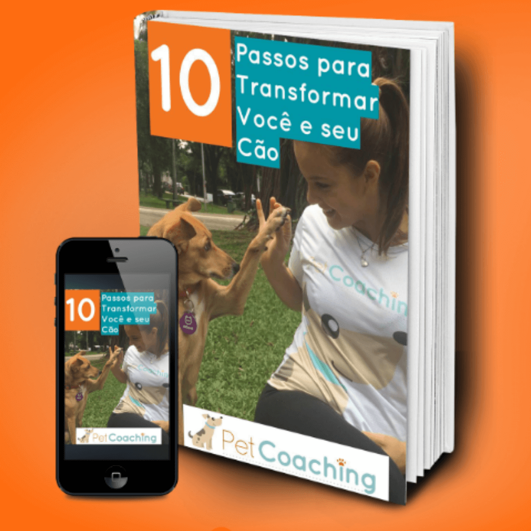 10 Passos para TRANSFORMAR você e seu cão