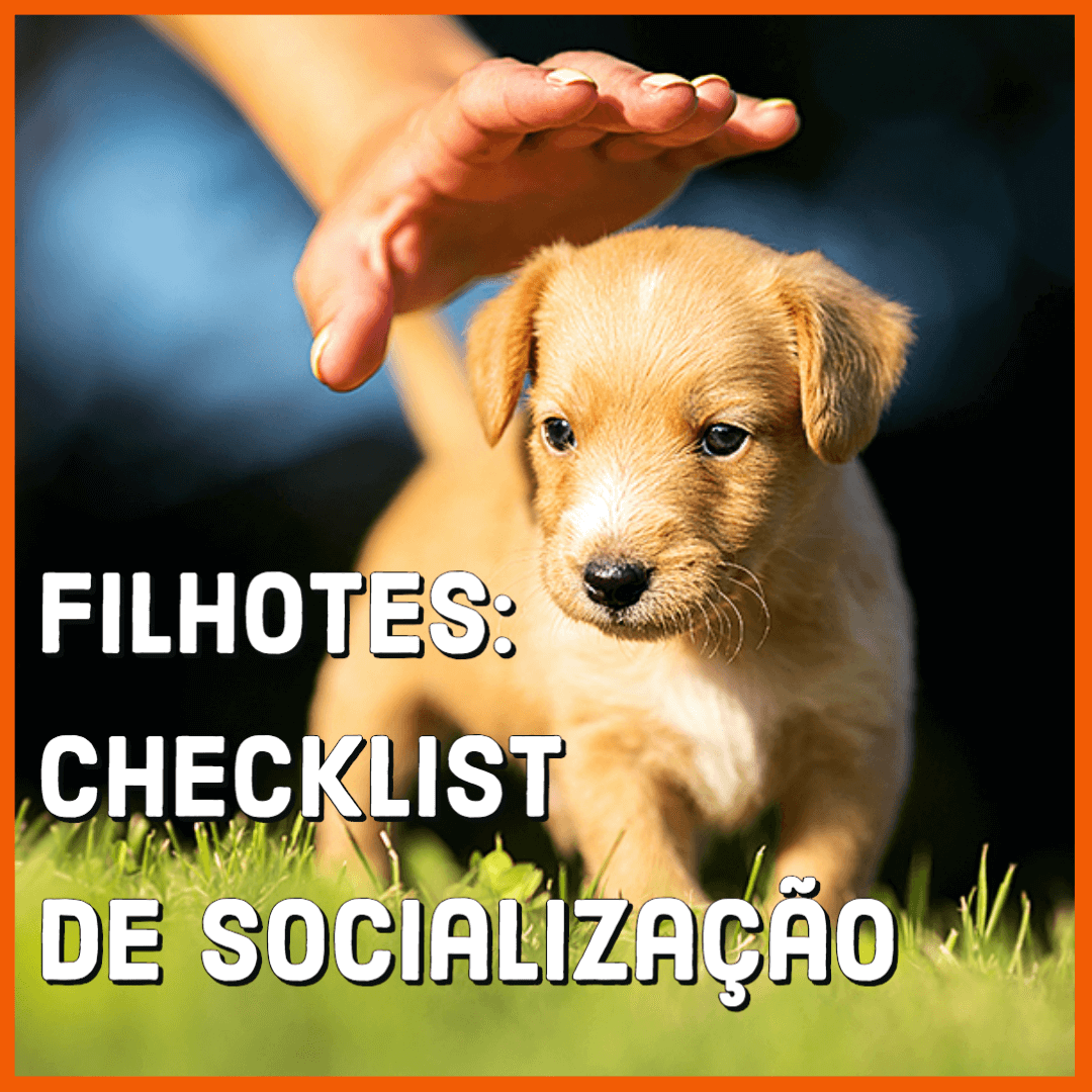 Filhotes: Checklist de Socialização