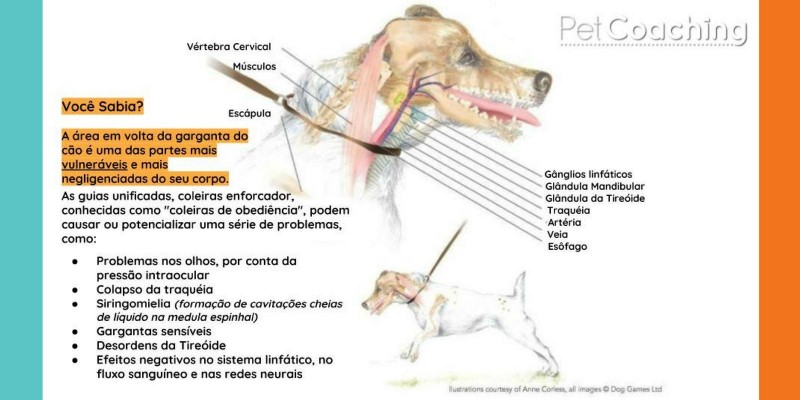 Post de Esclarecimento sobre o não uso do Enforcador