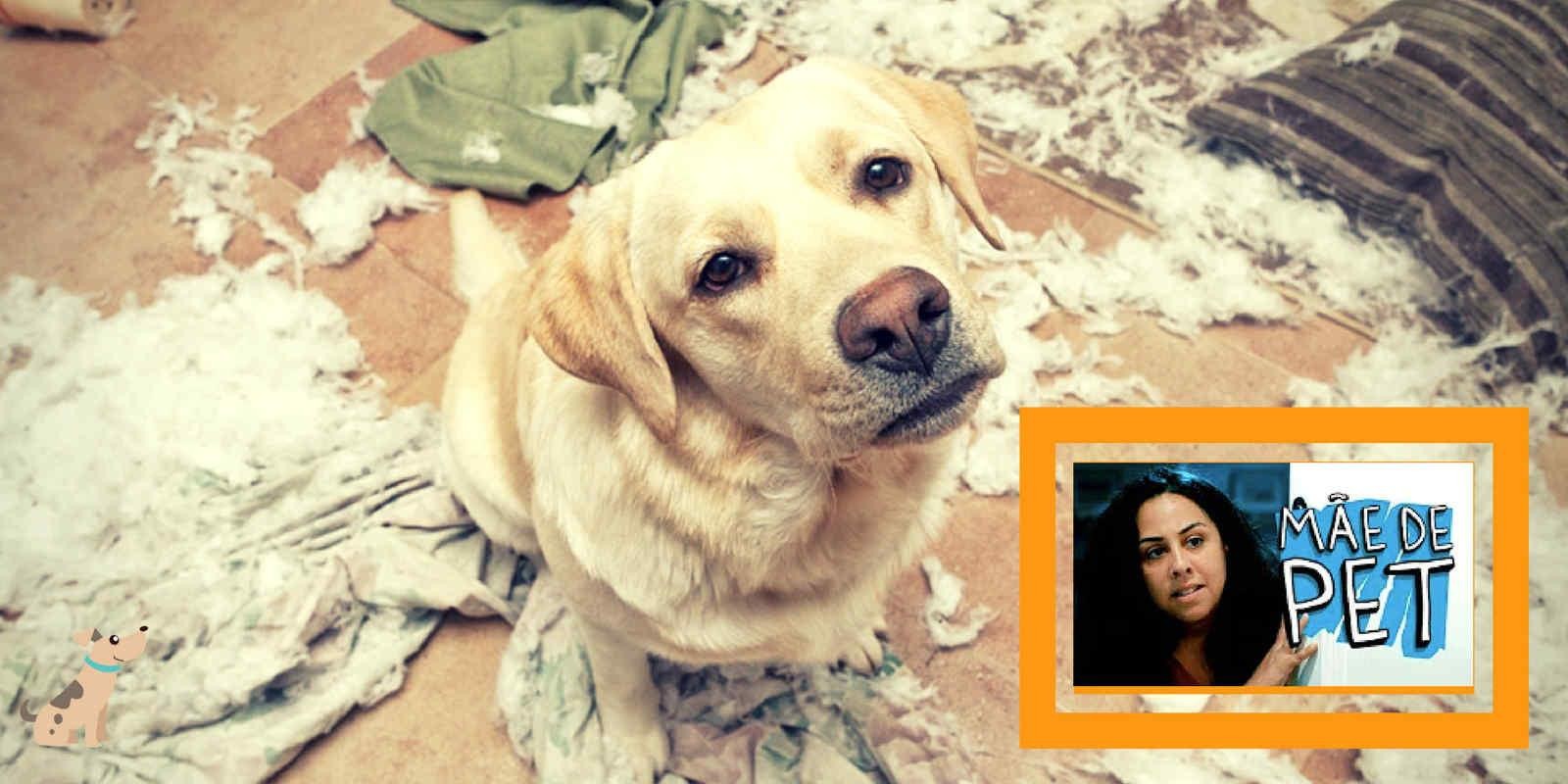 Lambeijos, Carla Ruas - Você é Refém do seu Cão? [Vídeo Porta dos Fundos]
