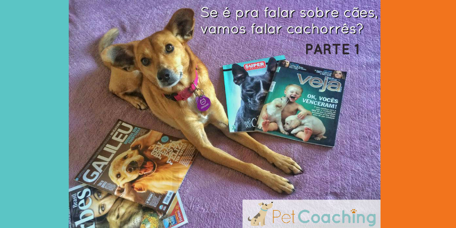 Lambeijos, Carla Ruas - [PARTE 1] Se é pra falar sobre cães, vamos falar cachorrês? 