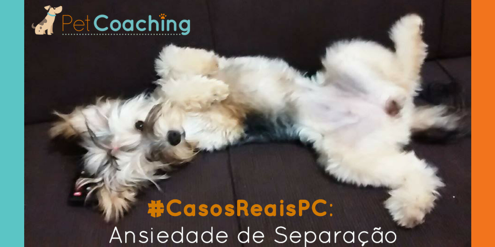 #CasosReaisPC: Ansiedade de Separação