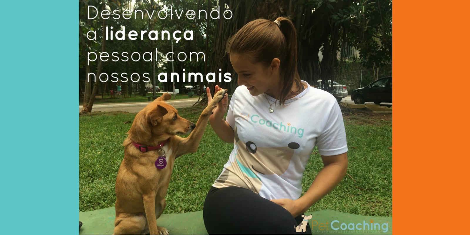 Desenvolvendo a liderança pessoal com nossos animais