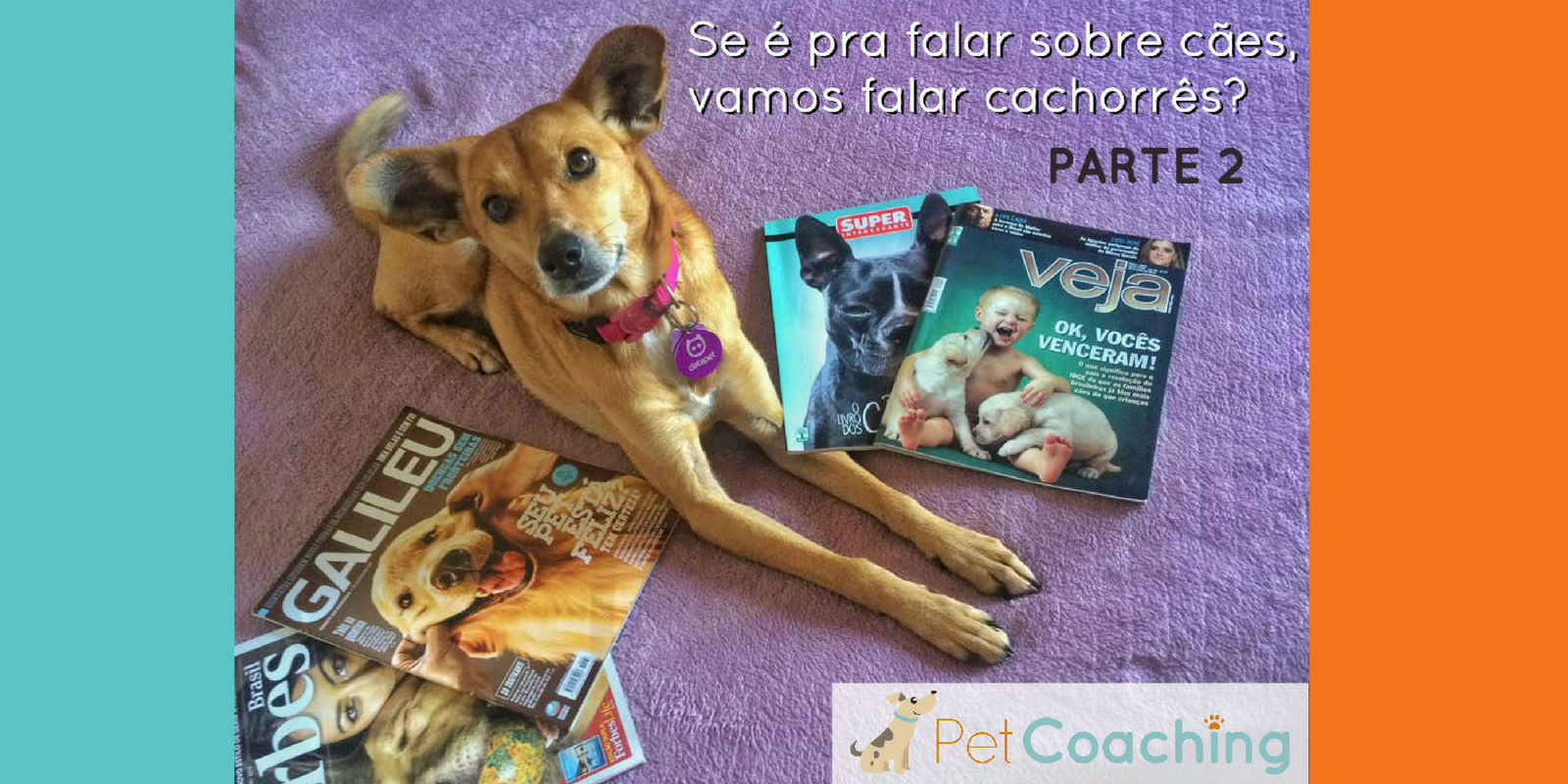 [PARTE 2] Se é pra falar sobre cães, vamos falar cachorrês? 