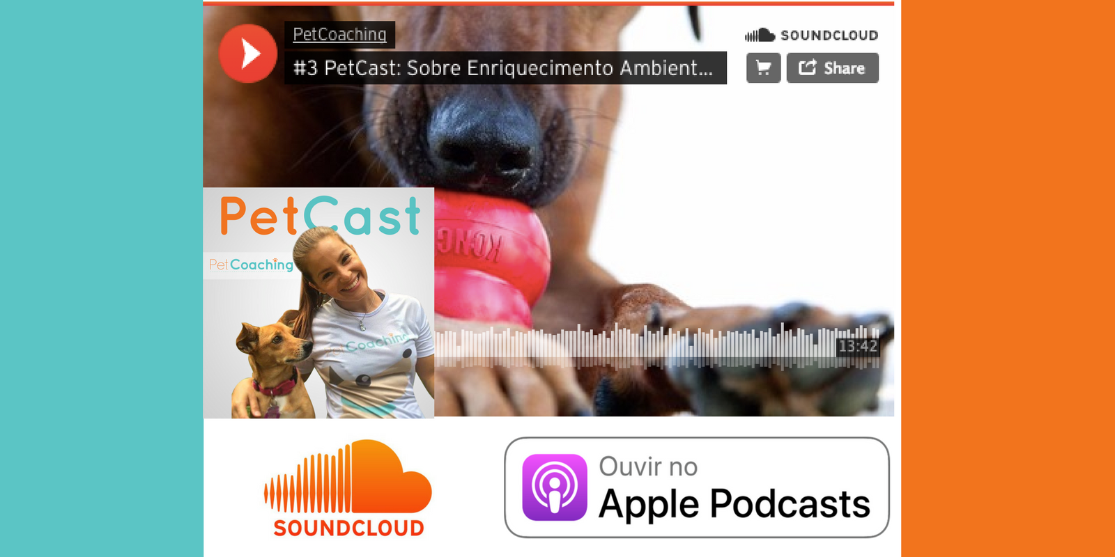 #3 PetCast: Enriquecimento Ambiental + Estimulações na Rotina