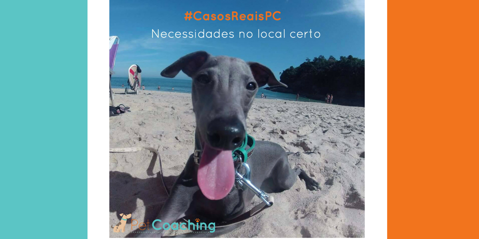 #CasosReaisPC: Xixi e Cocô no lugar certo