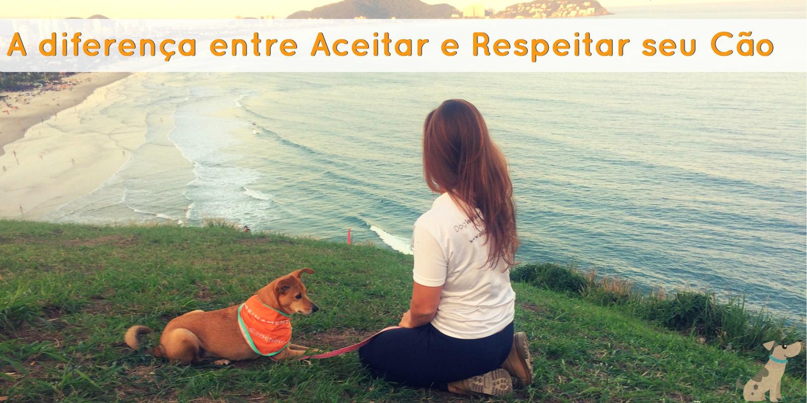 A diferença entre Aceitar e Respeitar seu cão