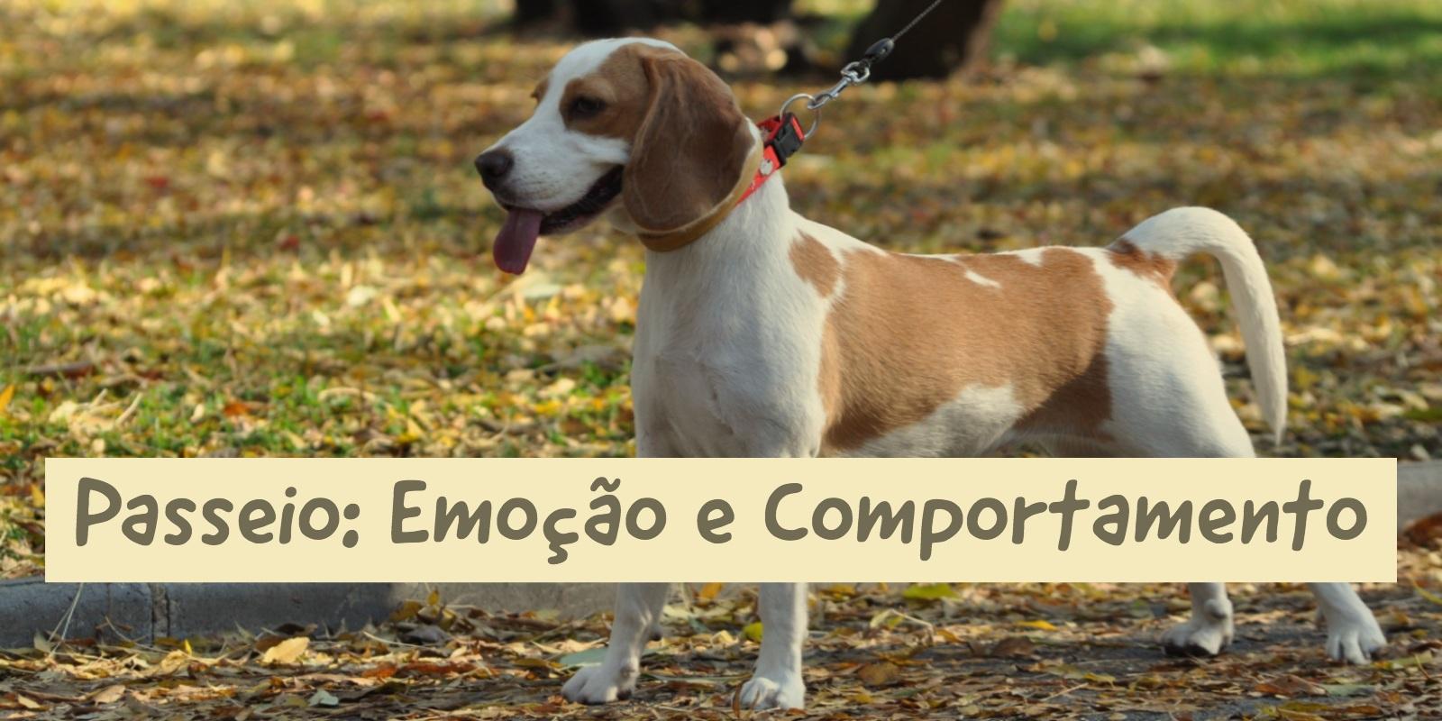 Passeio: Emoção & Comportamento