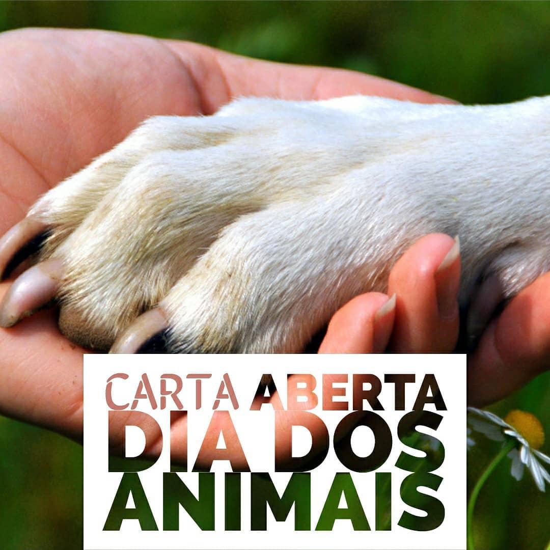 Carta Aberta ao Dia dos Animais