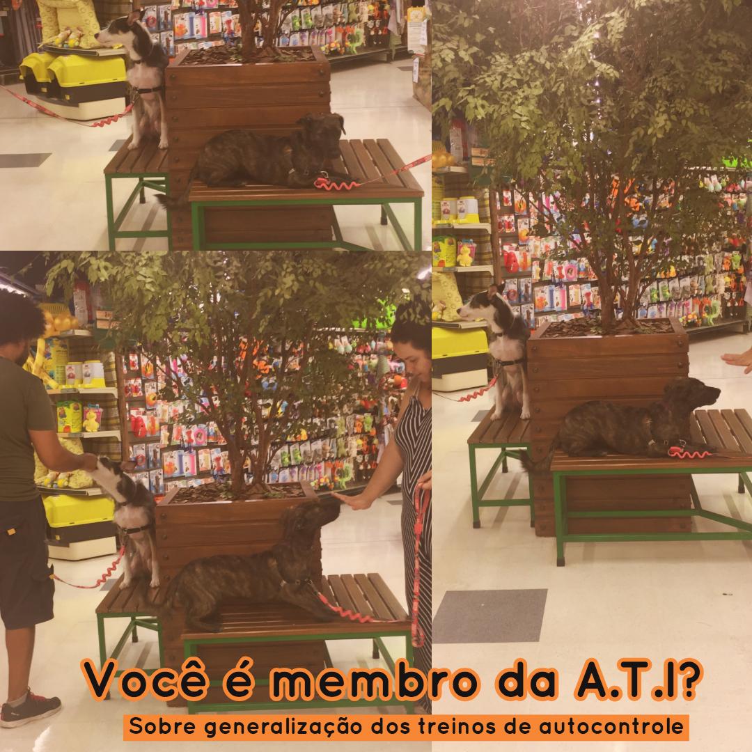 Você é membro da A.T.I?  Associação dos Tutores Ignorados por seus cães? 