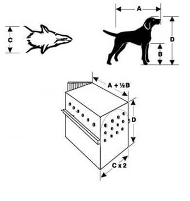 Como escolher o tamanho da caixa de transporte para o meu cão?